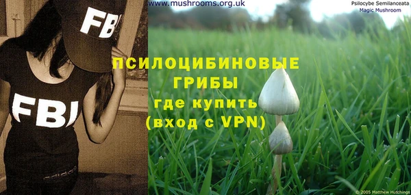 дурь Алексеевка