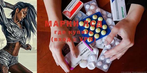 прущие грибы Алексин