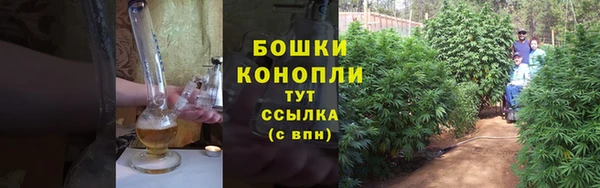 сатива Вязники