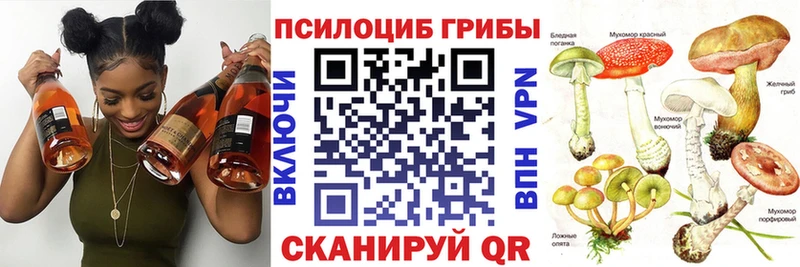 Псилоцибиновые грибы прущие грибы  закладки  Навашино 